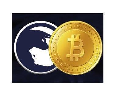 Binary.com Bitcoin wallet