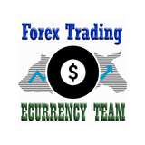 Ecurrency Team